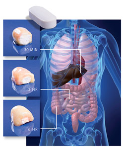 diagram_of_intestinal_tract