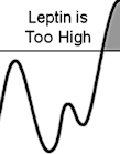 leptin too high
