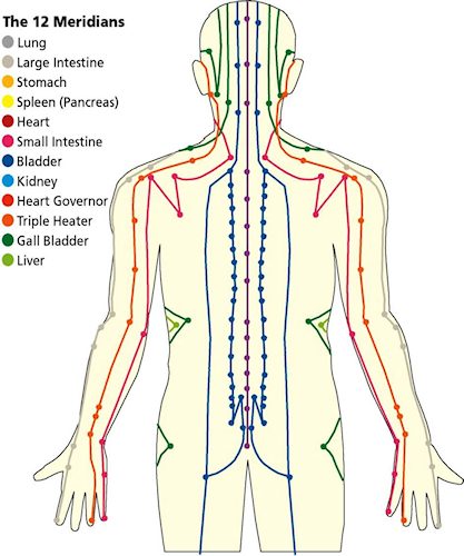 Human Body Meridians Along Which Qi (Chi) Flows