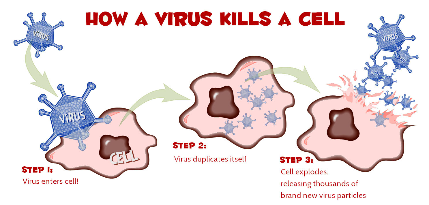 virus killing a cell